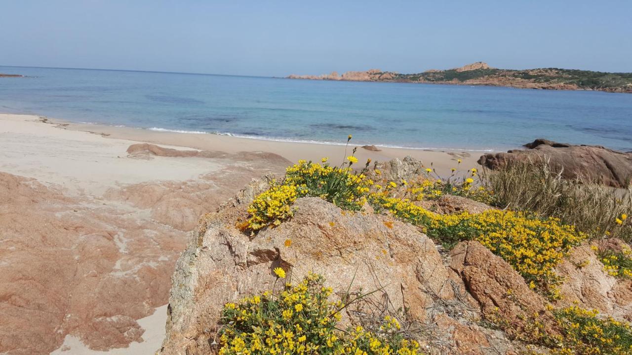 Casa Vacanza Costa Rossa Vista Mare Trinità dʼAgultu 외부 사진